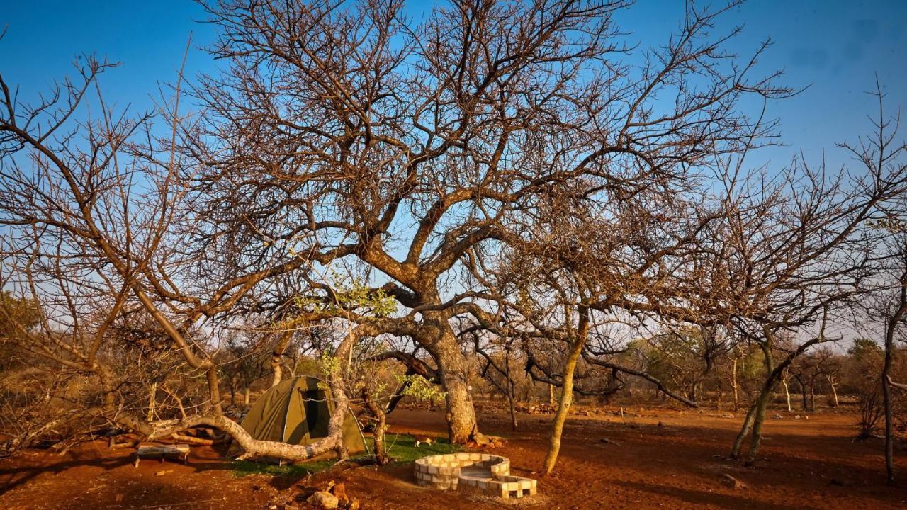 Zuricamp - Campsite Halishi Tsumeb Exterior photo